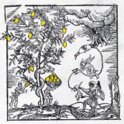 Mach Hommy - Mach's Hard Lemonade