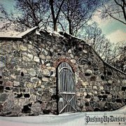 DaisiesBones & Deergod - PushingUp