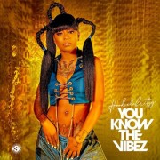 HoodCelebrityy - You Know The Vibez