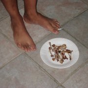 Zack Fox - shut the f*ck up talking to me